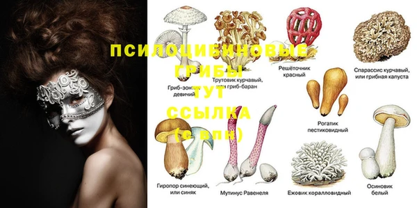 мескалин Аркадак