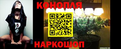 ALPHA PVP Нальчик