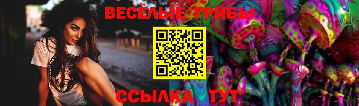 Новодвинск  Галлюциногенные грибы мухоморы  Галлюциногенные грибы Cubensis  Вход с VPN 